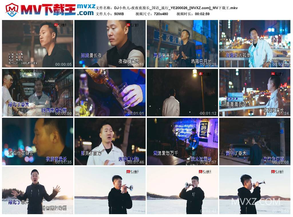 DJ小鱼儿-夜夜夜漫长_国语_流行_YE200026